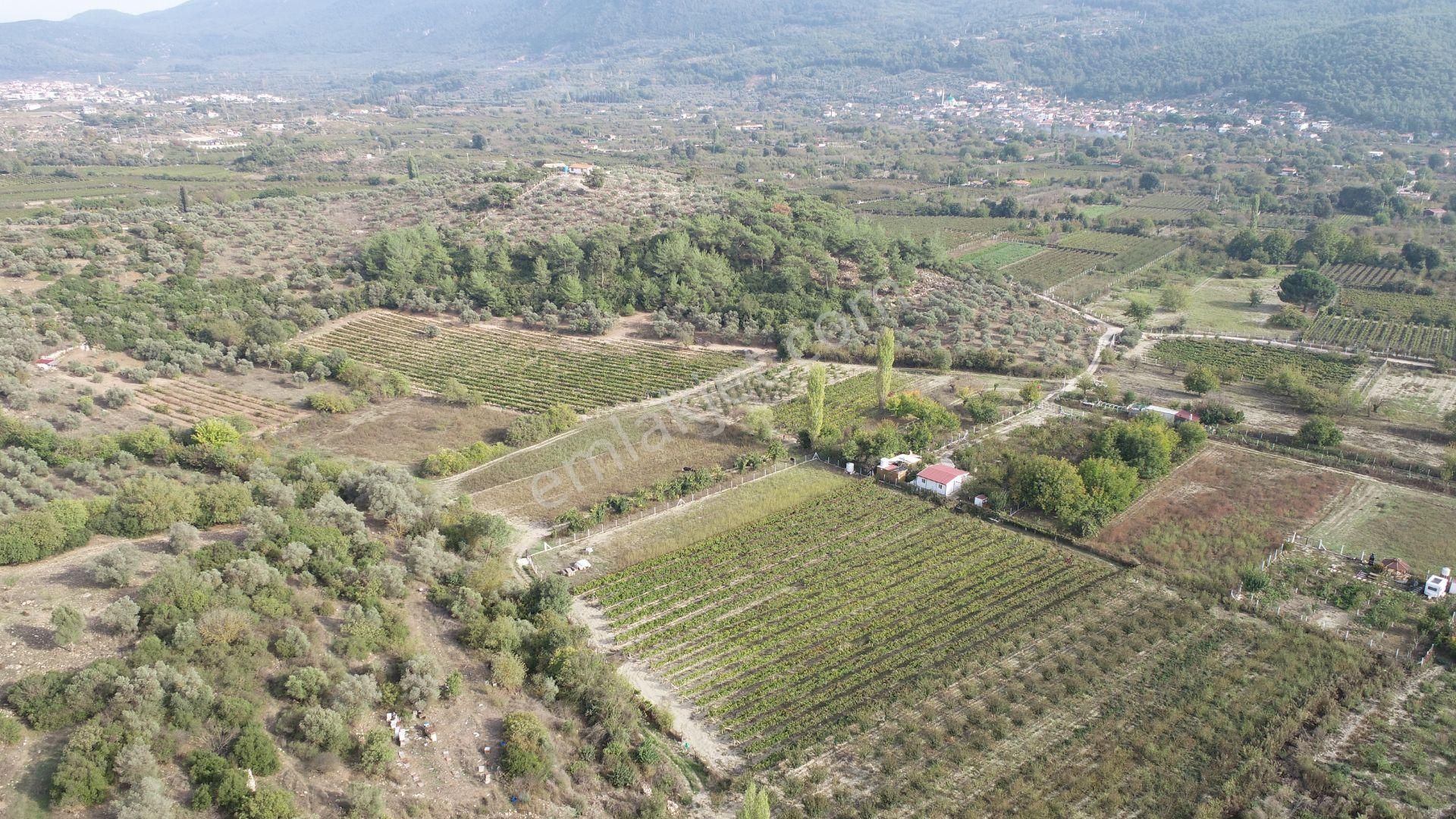 Satılık Tarla Kirazlı Köyü - Görsel 8