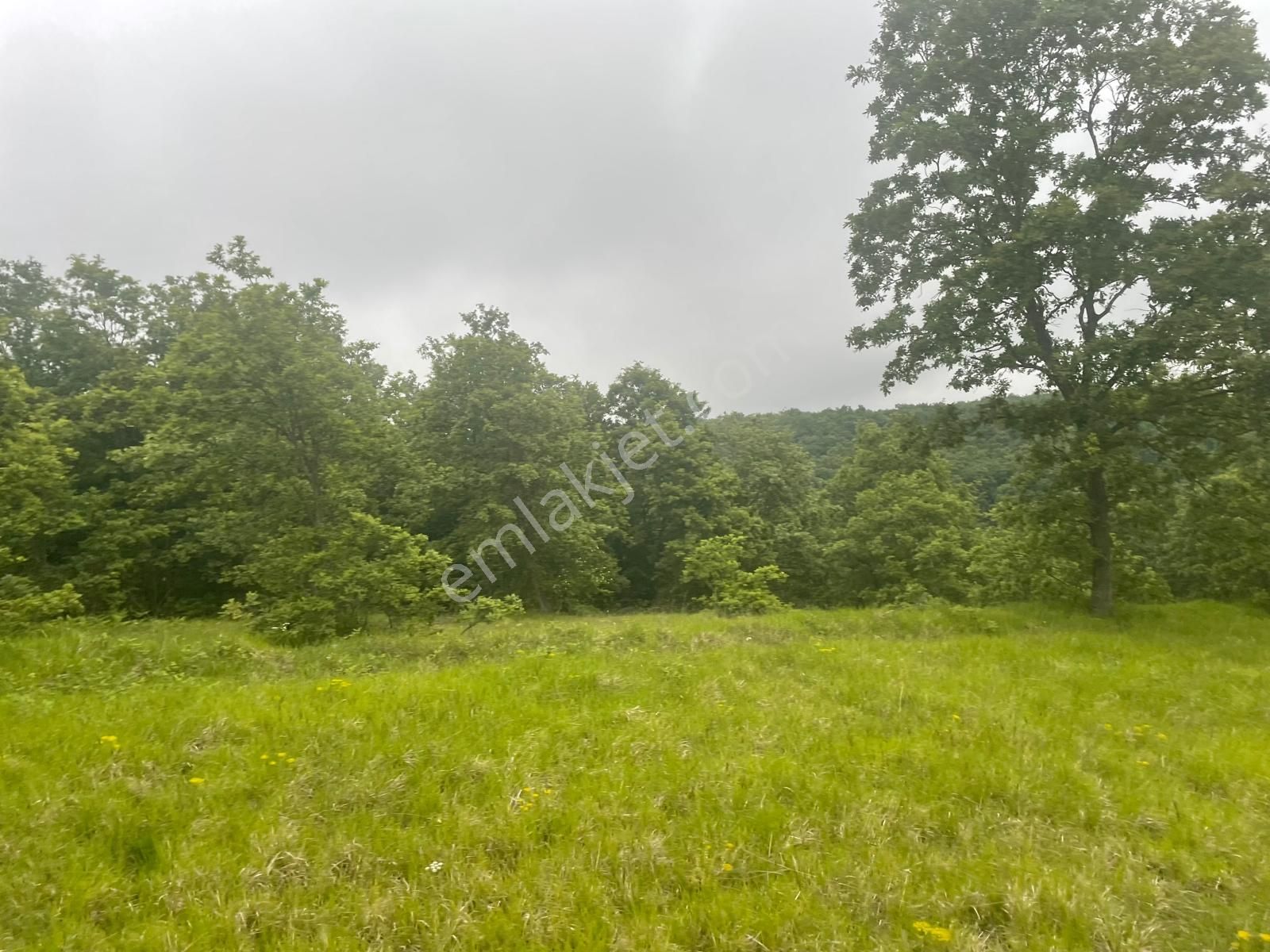 Derince Tahtalı Mah. 13.557 M² Satılık Tarla