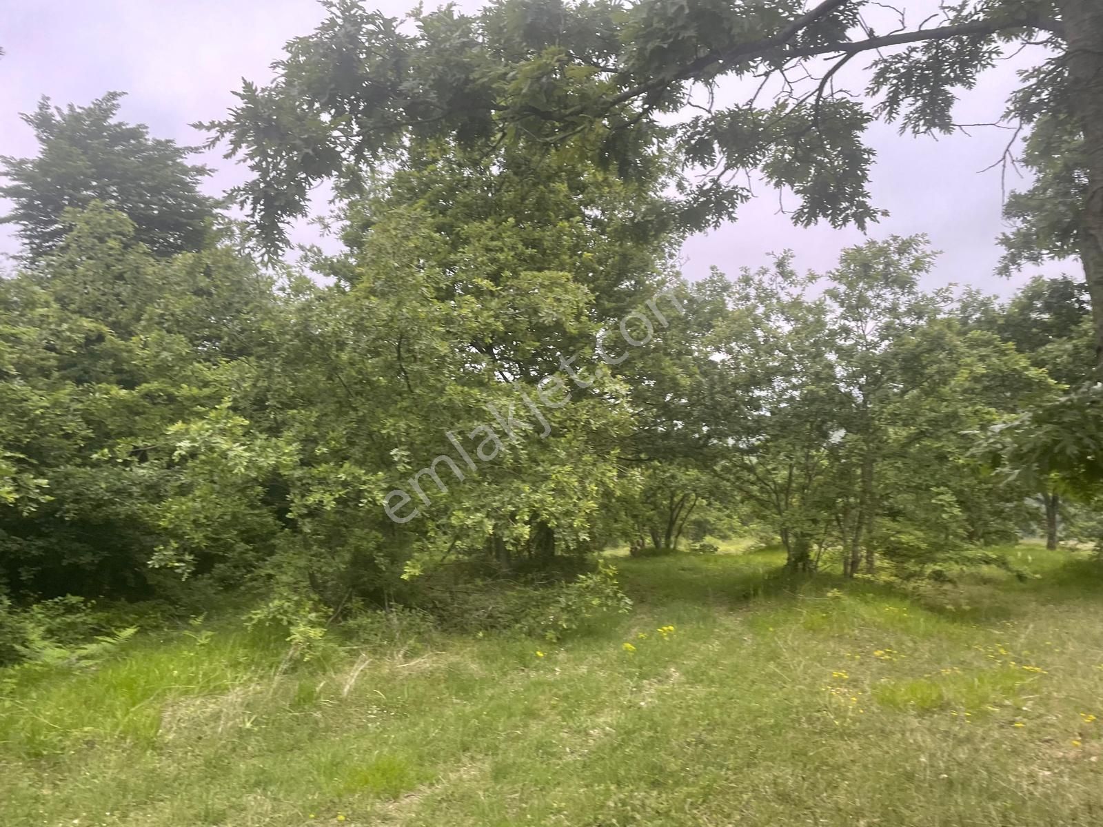 Derince Tahtalı Mah. 13.557 M² Satılık Tarla - Görsel 4