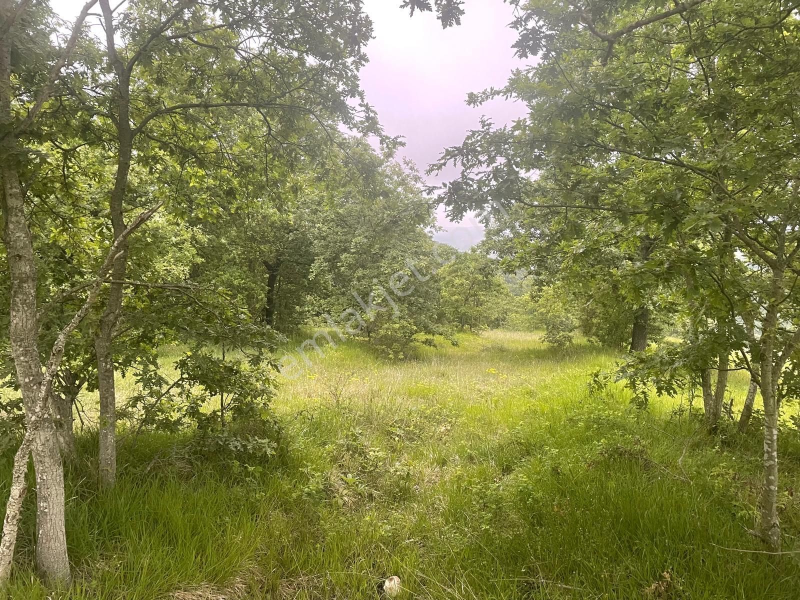 Derince Tahtalı Mah. 13.557 M² Satılık Tarla - Görsel 2