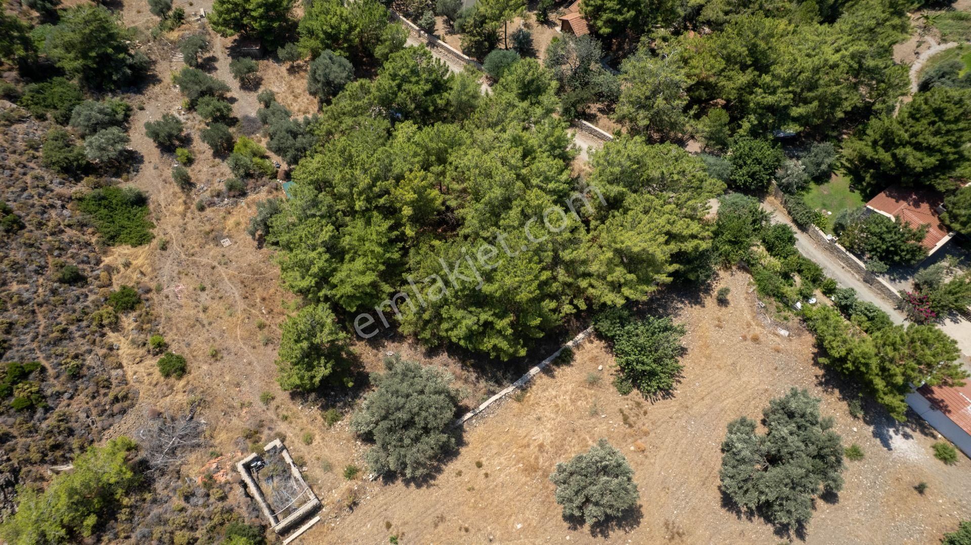 Datça Kızılbük'te Denize 200 M Satılık 2777 M2 Arazi - Görsel 6