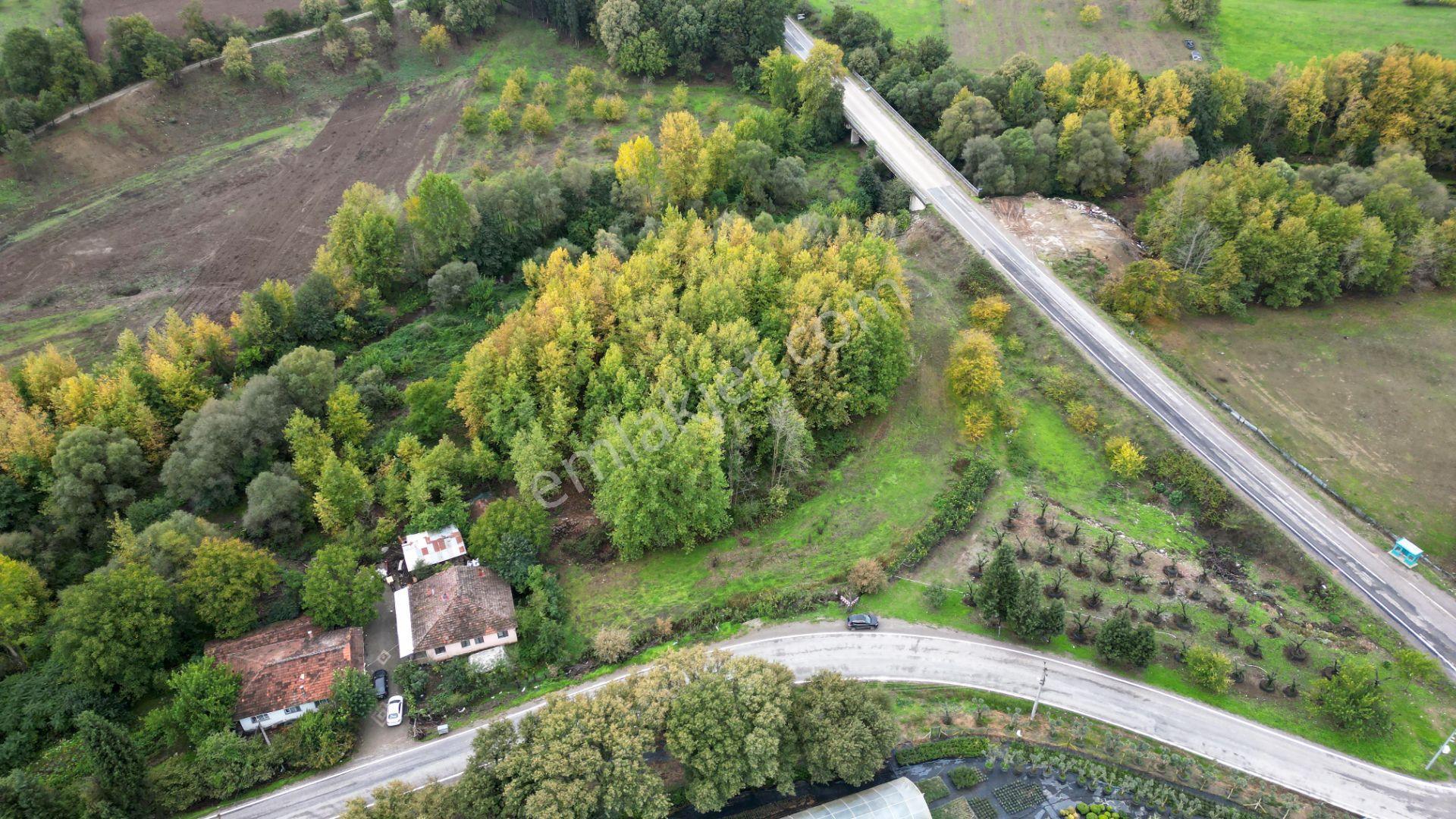 Kocaeli Karamürsel Yalakdere Satılık 5.940 M² Yatırımlık Arsa - Görsel 3