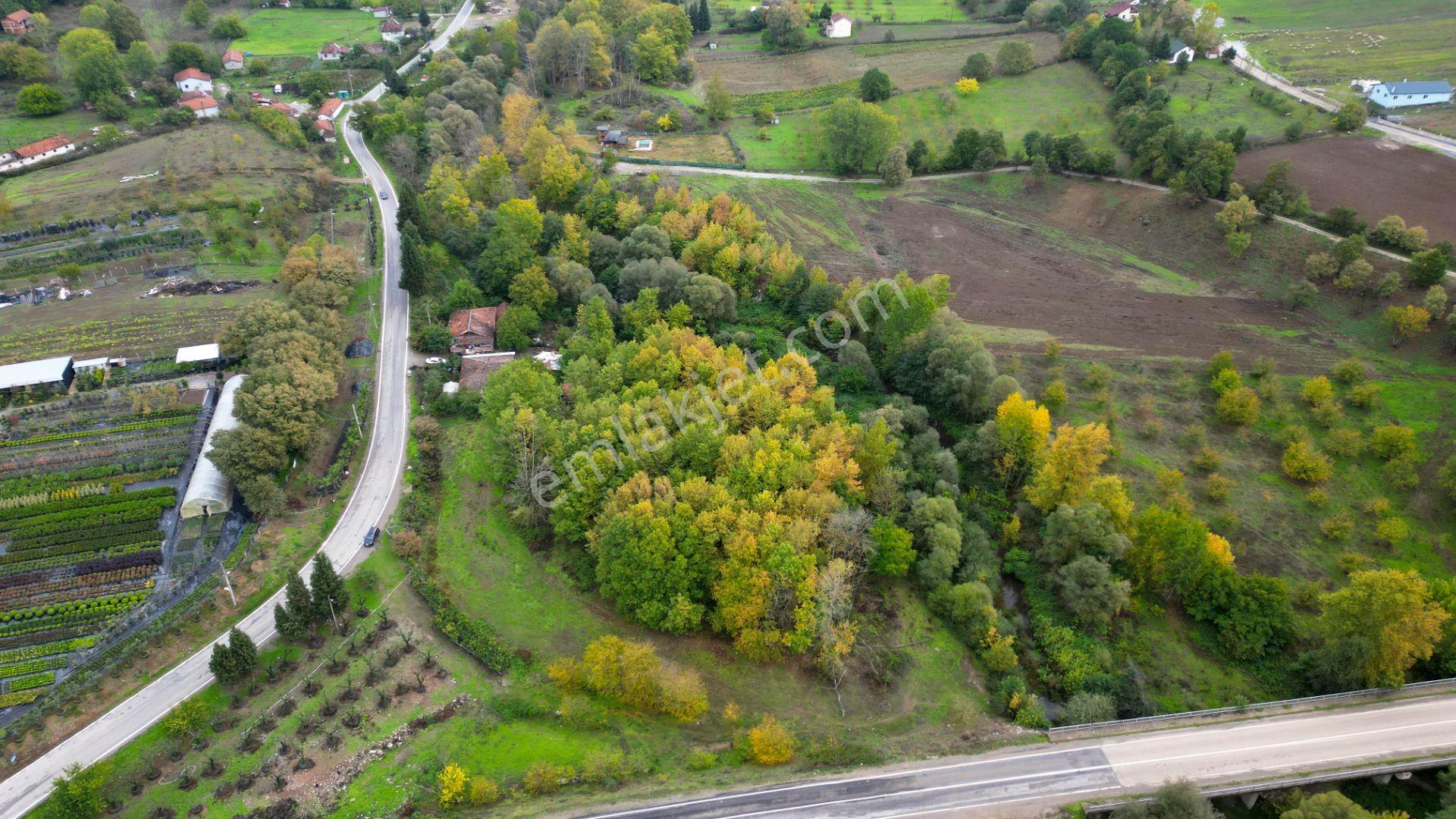 Kocaeli Karamürsel Yalakdere Satılık 5.940 M² Yatırımlık Arsa - Görsel 9
