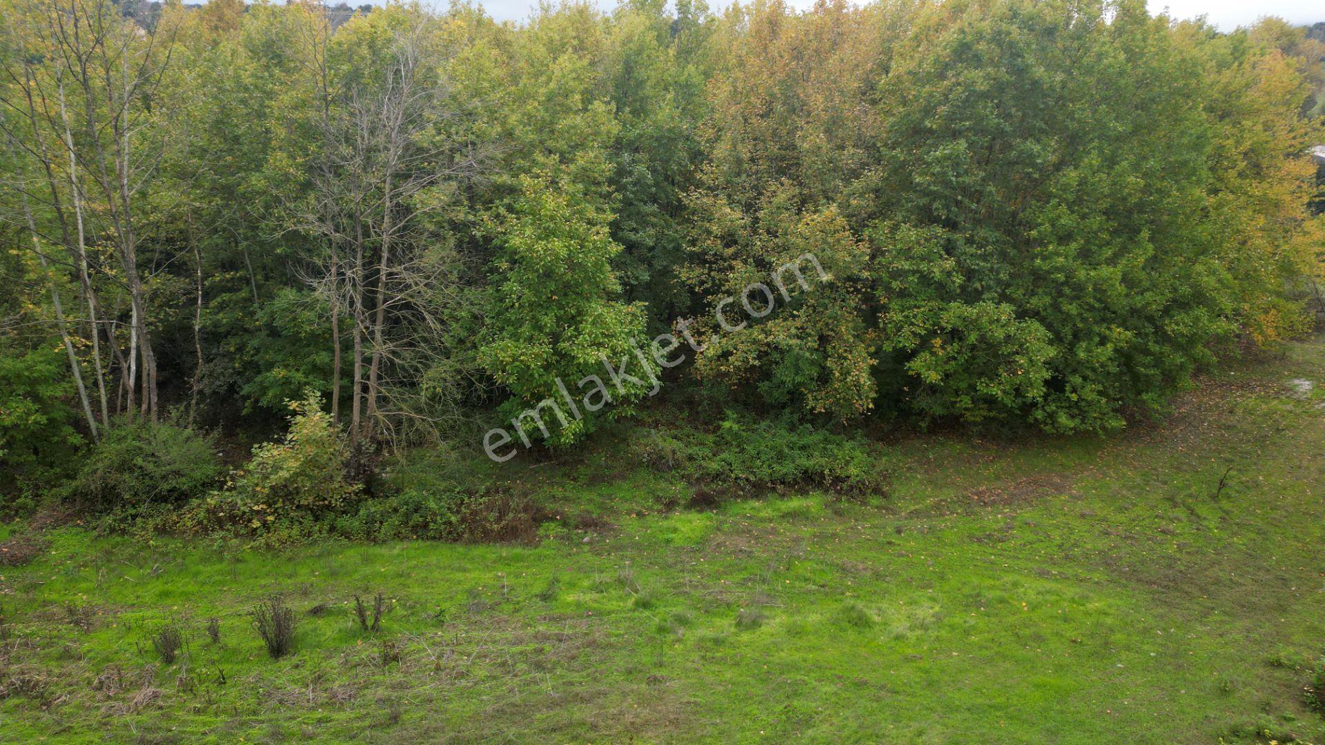 Kocaeli Karamürsel Yalakdere Satılık 5.940 M² Yatırımlık Arsa - Görsel 2