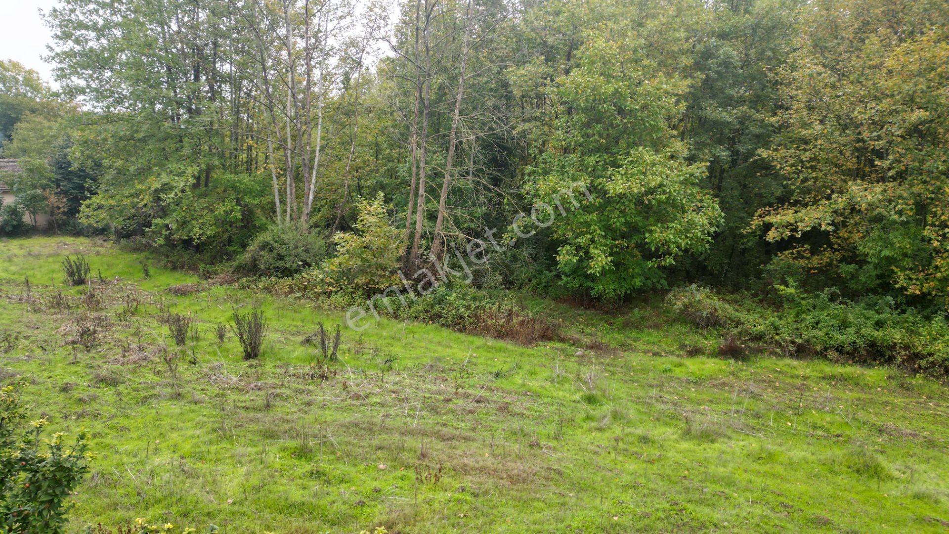 Kocaeli Karamürsel Yalakdere Satılık 5.940 M² Yatırımlık Arsa - Görsel 13