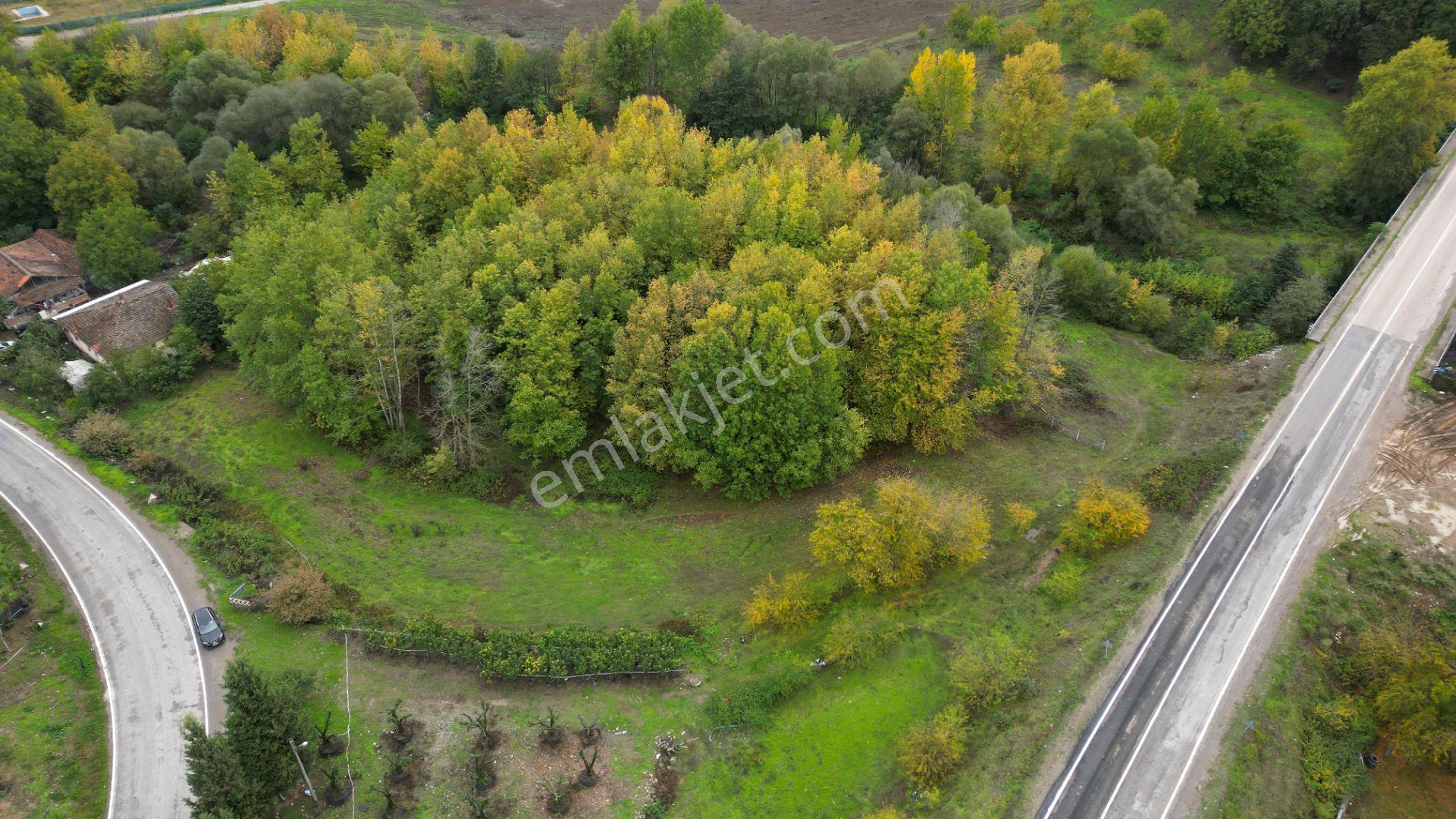 Kocaeli Karamürsel Yalakdere Satılık 5.940 M² Yatırımlık Arsa - Görsel 10