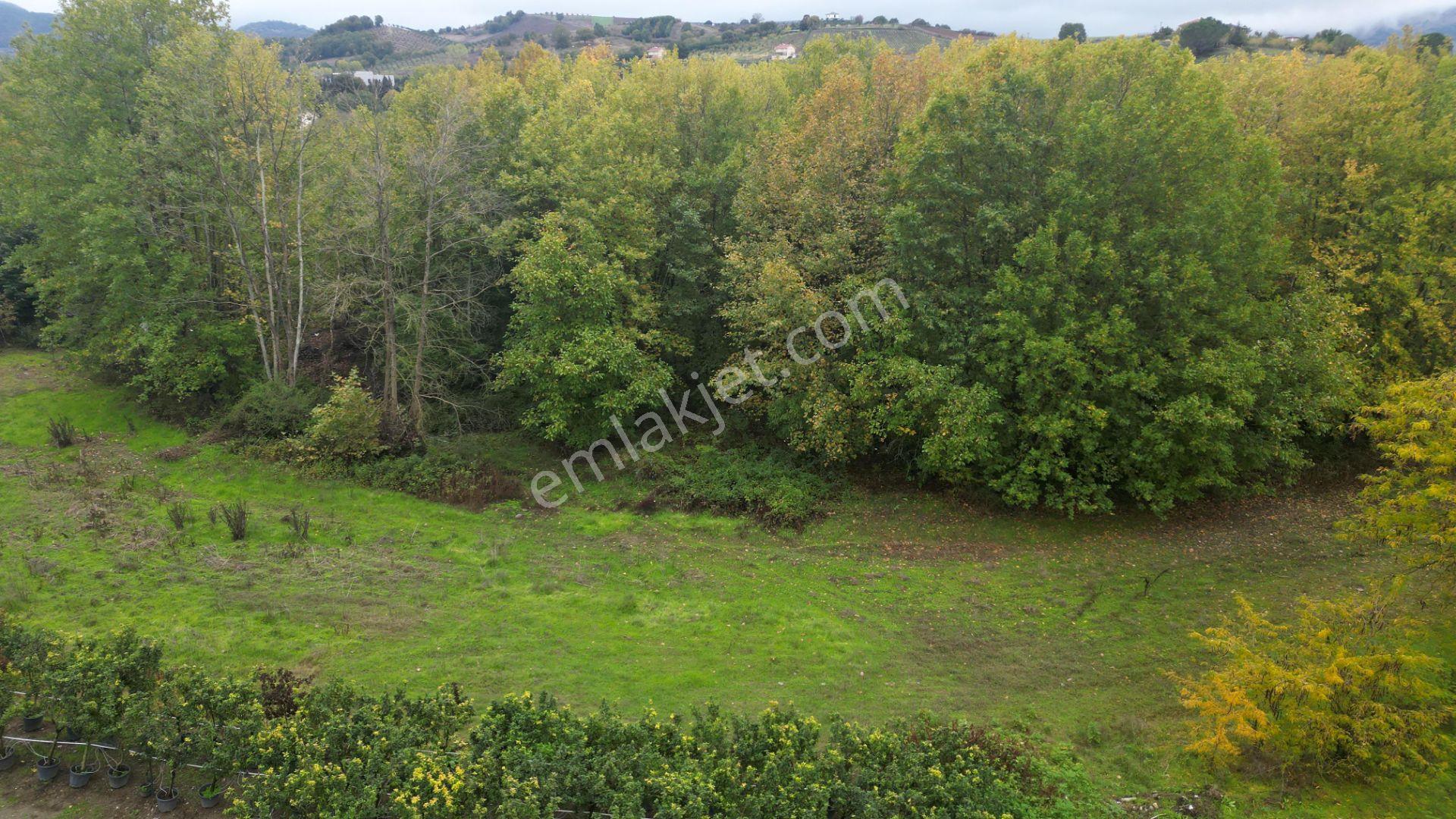 Kocaeli Karamürsel Yalakdere Satılık 5.940 M² Yatırımlık Arsa - Görsel 11