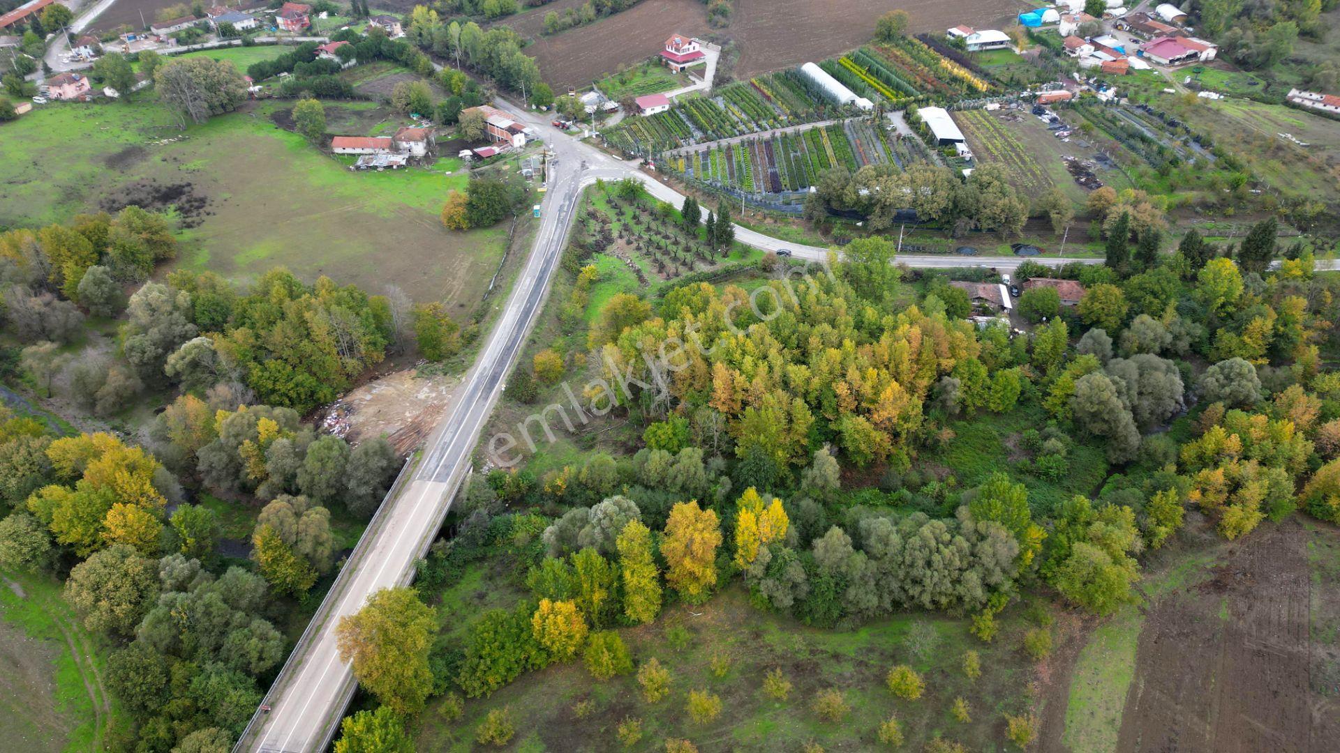 Kocaeli Karamürsel Yalakdere Satılık 5.940 M² Yatırımlık Arsa - Görsel 8