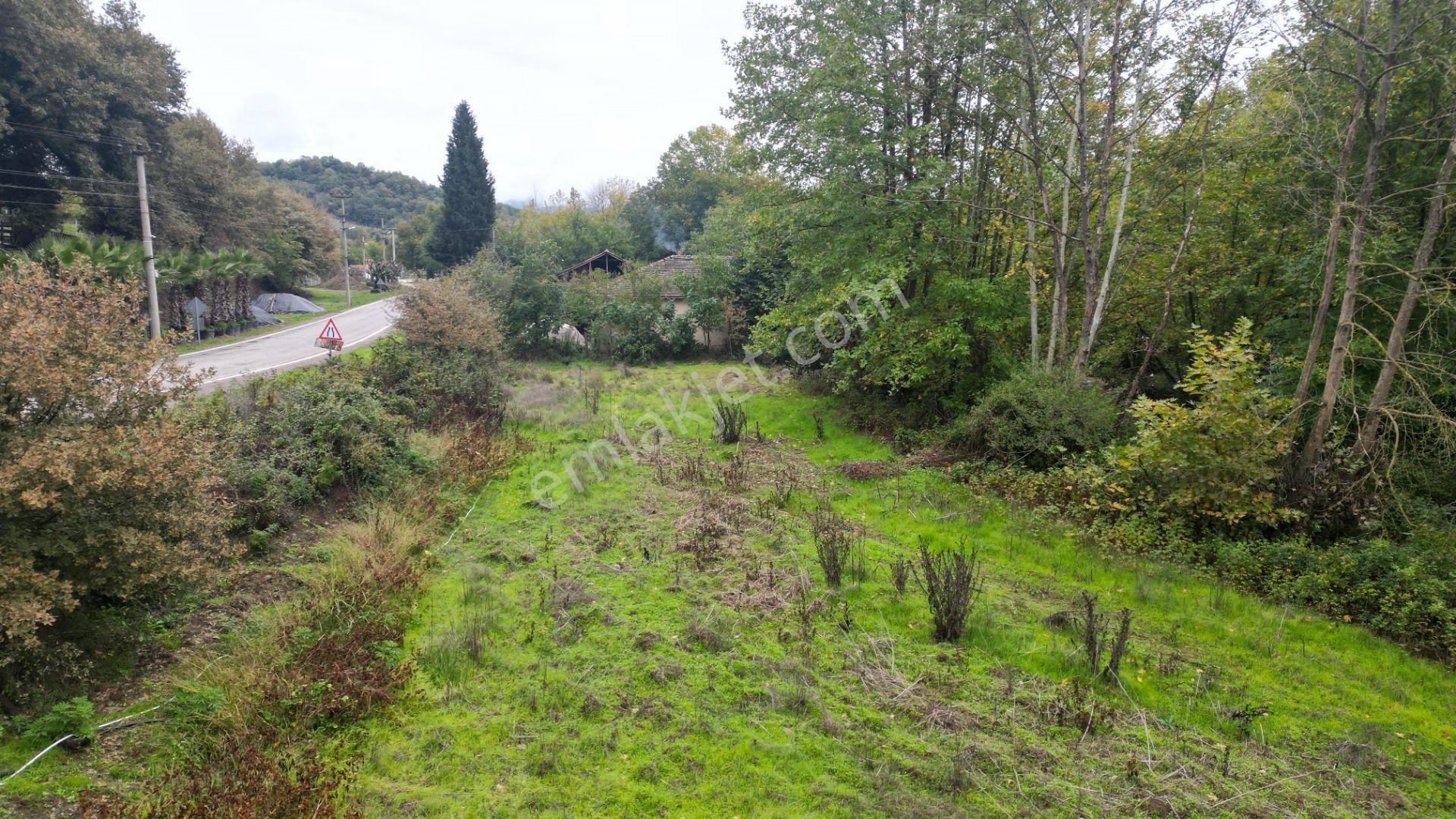 Kocaeli Karamürsel Yalakdere Satılık 5.940 M² Yatırımlık Arsa - Görsel 12