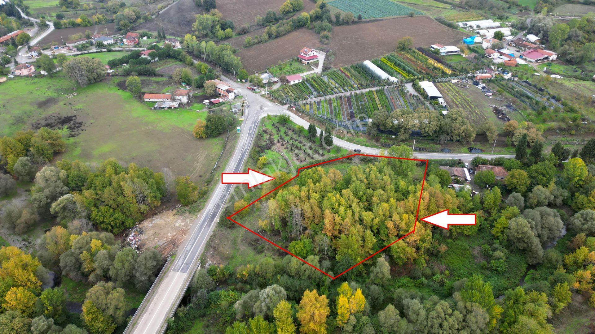 Kocaeli Karamürsel Yalakdere Satılık 5.940 M² Yatırımlık Arsa