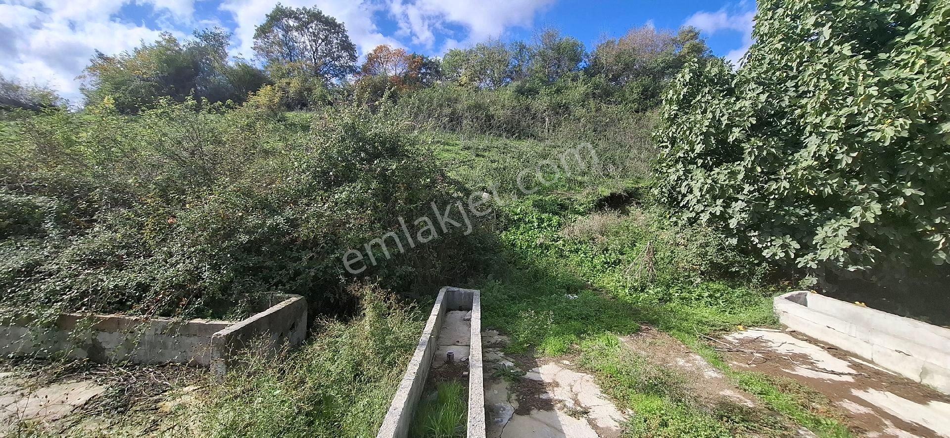 Samsun İlkadım Badırlı Köyü Mert Irmağı ,bim Deposu Yakınında 2.000 M2 Ticari Arsa - Görsel 9