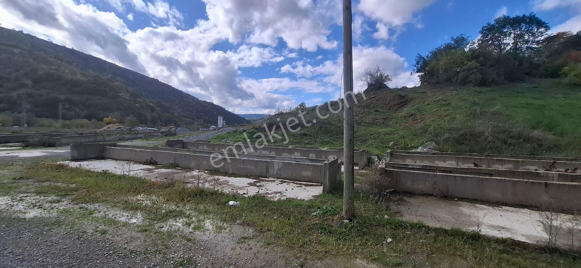 Samsun İlkadım Badırlı Köyü Mert Irmağı ,bim Deposu Yakınında 2.000 M2 Ticari Arsa - Görsel 7