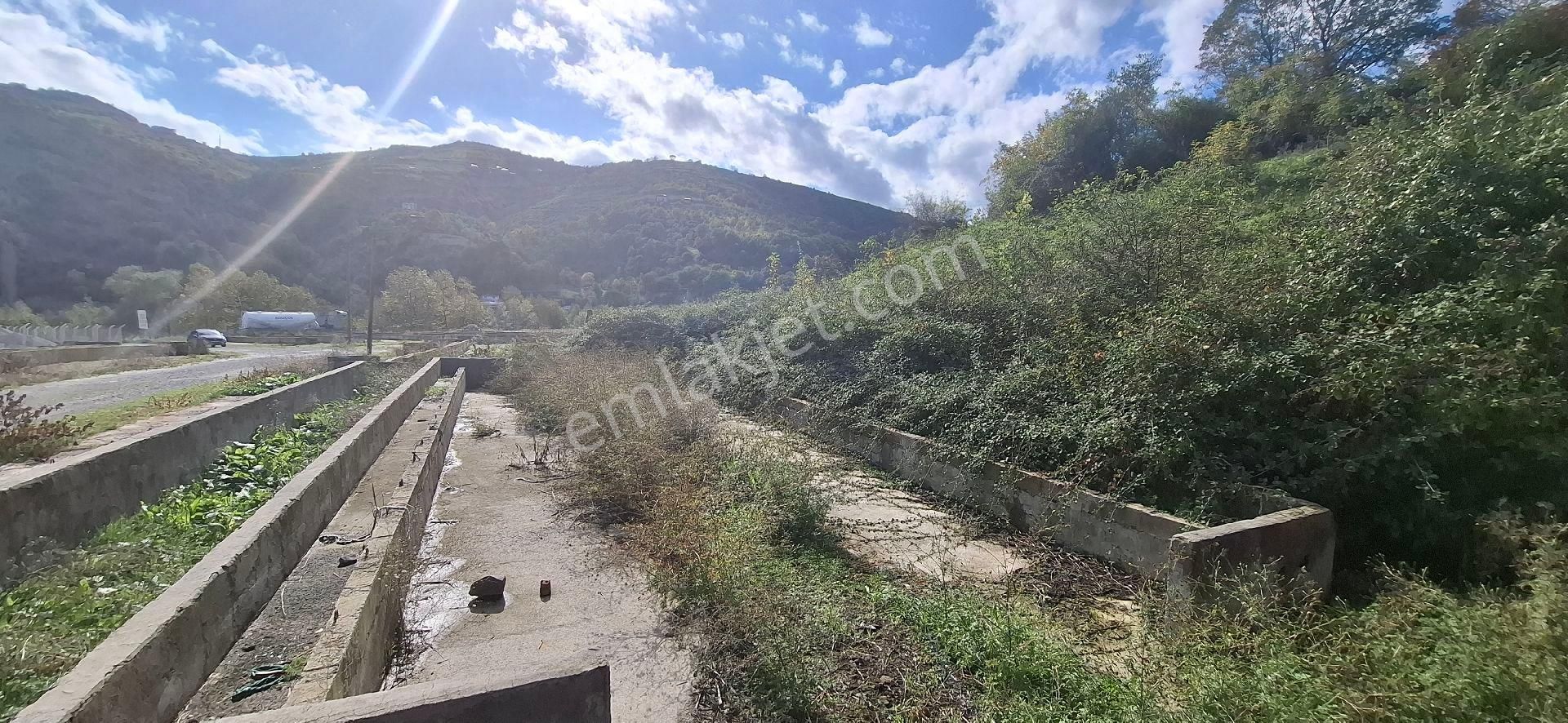 Samsun İlkadım Badırlı Köyü Mert Irmağı ,bim Deposu Yakınında 2.000 M2 Ticari Arsa - Görsel 10