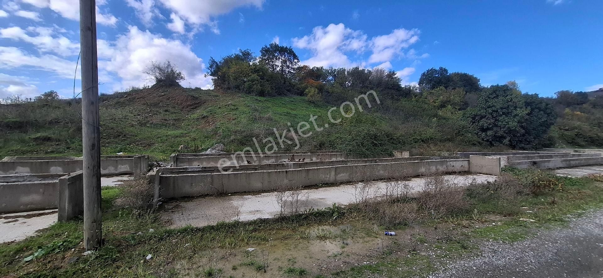 Samsun İlkadım Badırlı Köyü Mert Irmağı ,bim Deposu Yakınında 2.000 M2 Ticari Arsa - Görsel 6