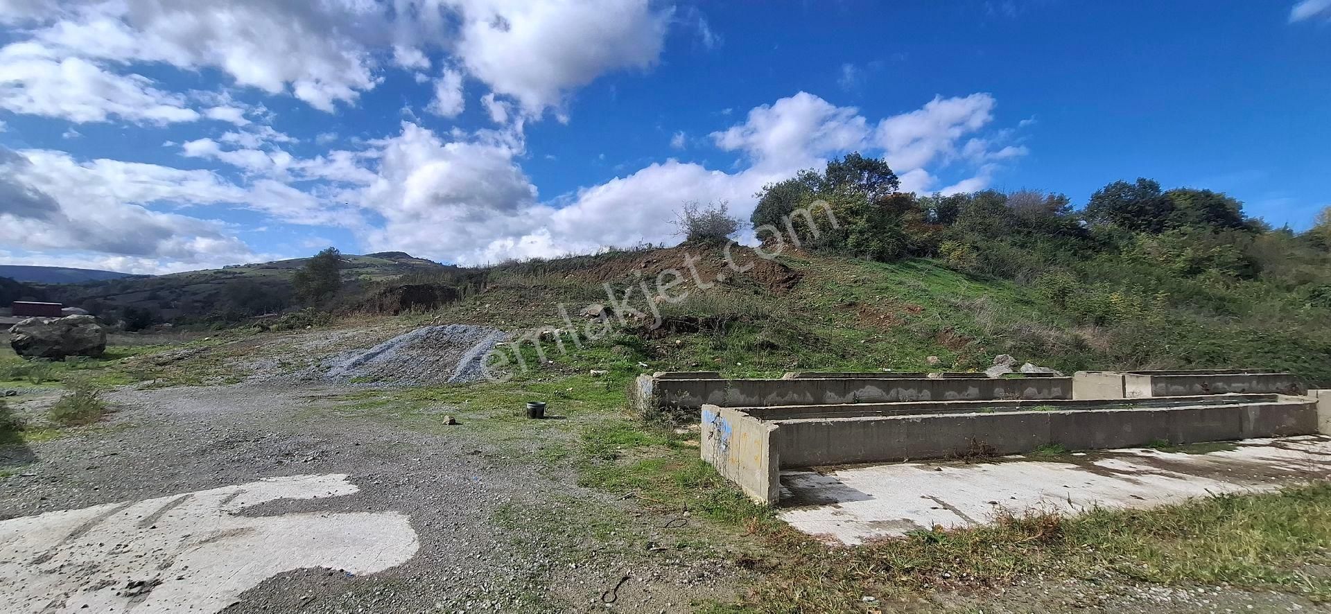 Samsun İlkadım Badırlı Köyü Mert Irmağı ,bim Deposu Yakınında 2.000 M2 Ticari Arsa - Görsel 5