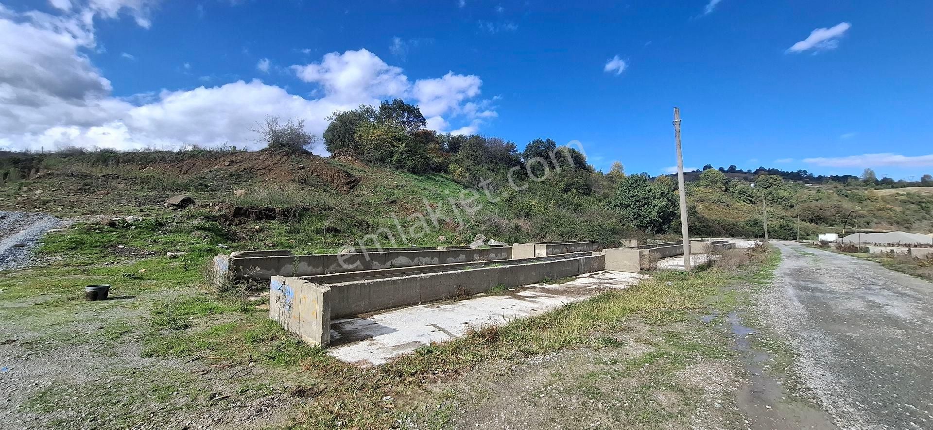 Samsun İlkadım Badırlı Köyü Mert Irmağı ,bim Deposu Yakınında 2.000 M2 Ticari Arsa - Görsel 4