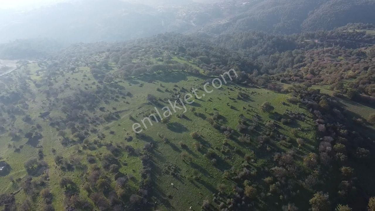 Çanakkale Ayvacık Paşaköy Deniz Manzaralı Yolu Olan 5001 M2 Arsa - Görsel 17