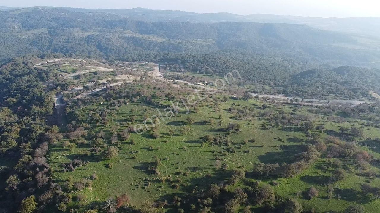 Çanakkale Ayvacık Paşaköy Deniz Manzaralı Yolu Olan 5001 M2 Arsa - Görsel 8