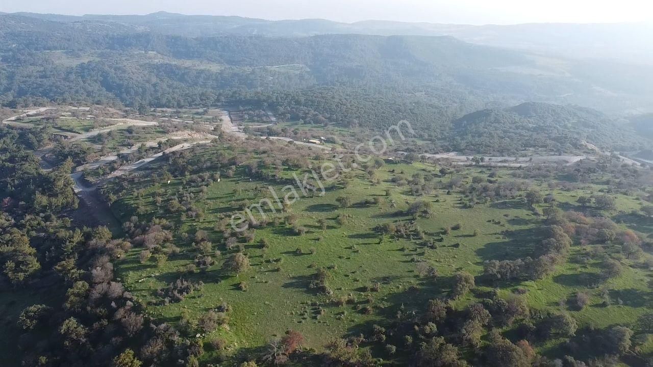 Çanakkale Ayvacık Paşaköy Deniz Manzaralı Yolu Olan 5001 M2 Arsa - Görsel 9