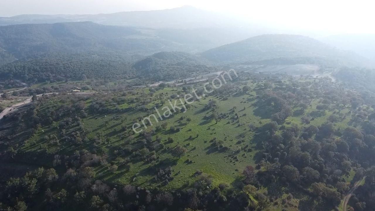 Çanakkale Ayvacık Paşaköy Deniz Manzaralı Yolu Olan 5001 M2 Arsa - Görsel 11