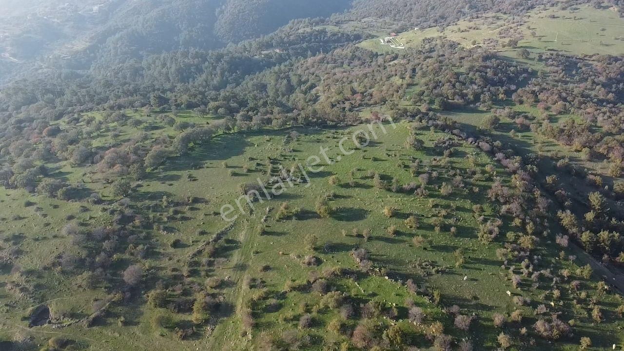 Çanakkale Ayvacık Paşaköy Deniz Manzaralı Yolu Olan 5001 M2 Arsa - Görsel 20