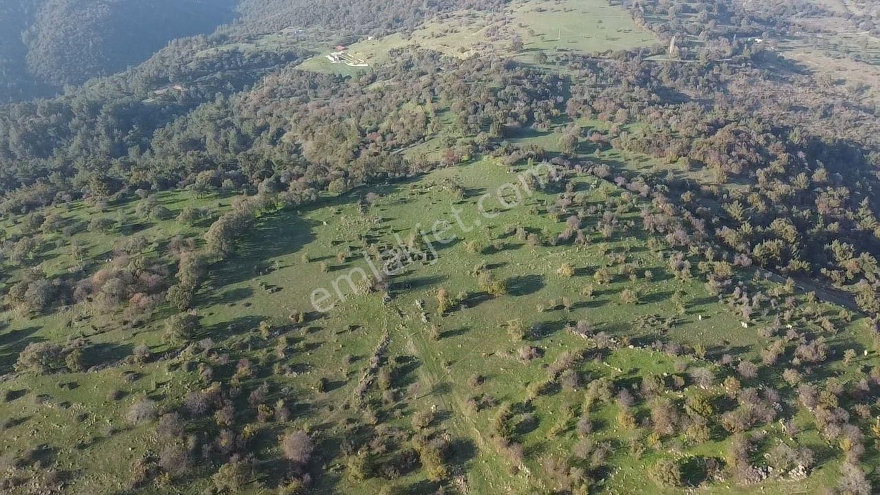 Çanakkale Ayvacık Paşaköy Deniz Manzaralı Yolu Olan 5001 M2 Arsa - Görsel 22