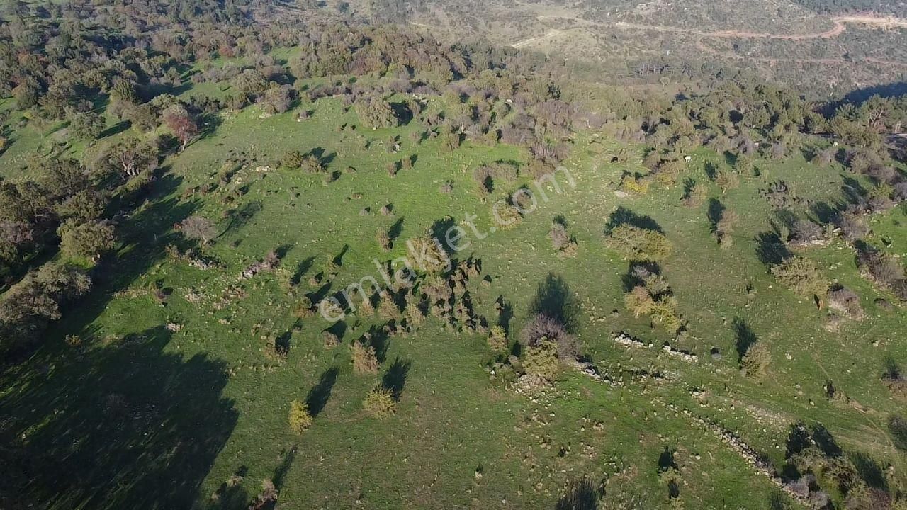 Çanakkale Ayvacık Paşaköy Deniz Manzaralı Yolu Olan 5001 M2 Arsa - Görsel 29