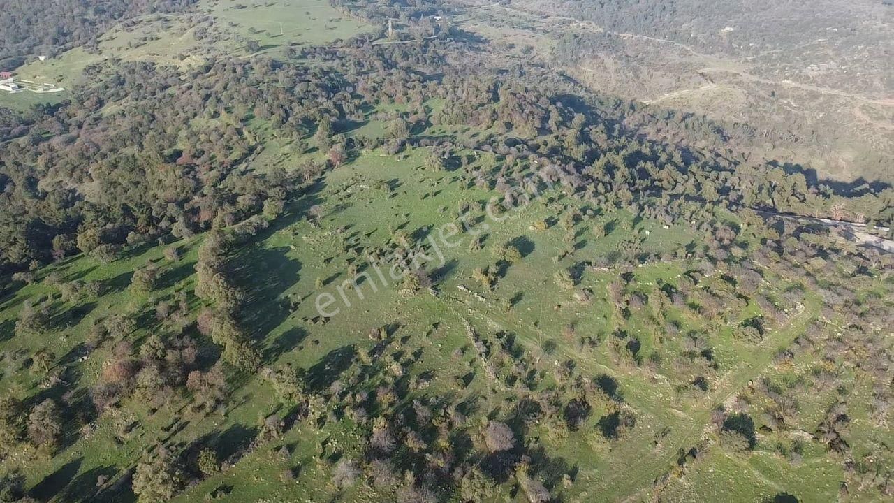 Çanakkale Ayvacık Paşaköy Deniz Manzaralı Yolu Olan 5001 M2 Arsa - Görsel 24