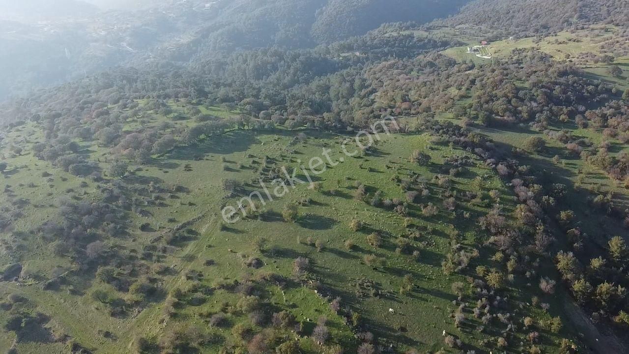 Çanakkale Ayvacık Paşaköy Deniz Manzaralı Yolu Olan 5001 M2 Arsa - Görsel 18