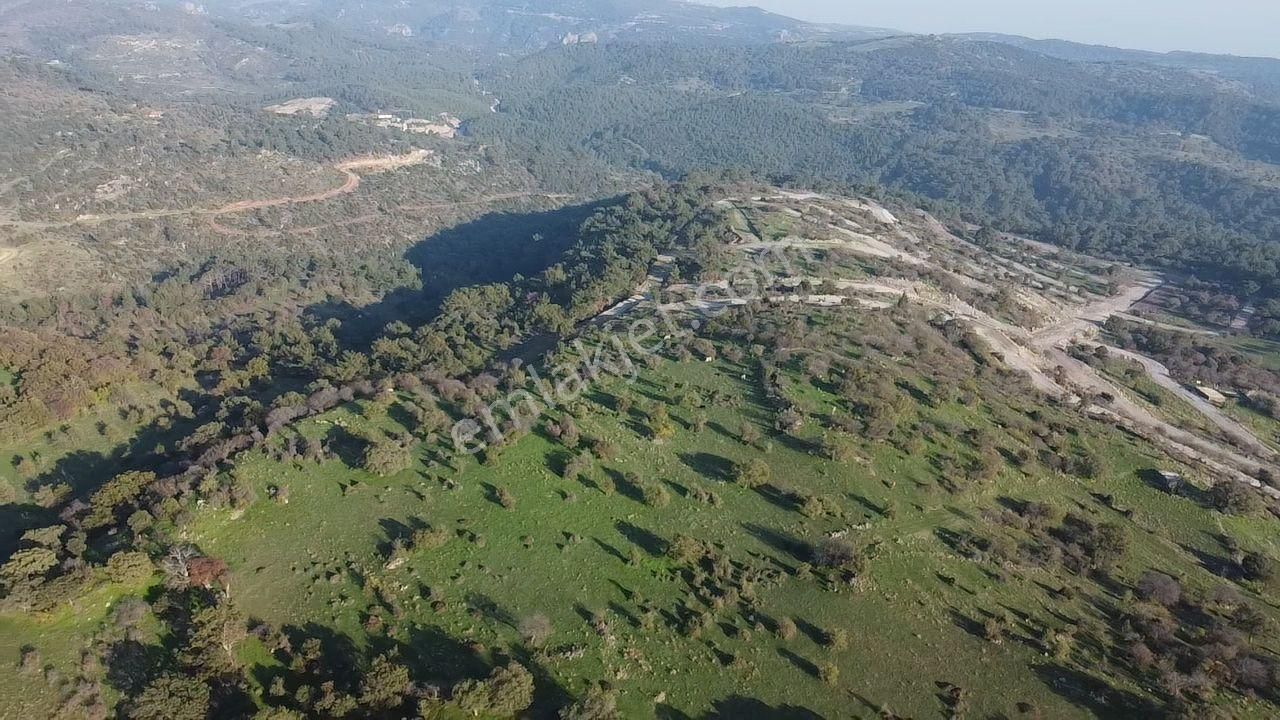 Çanakkale Ayvacık Paşaköy Deniz Manzaralı Yolu Olan 5001 M2 Arsa - Görsel 4