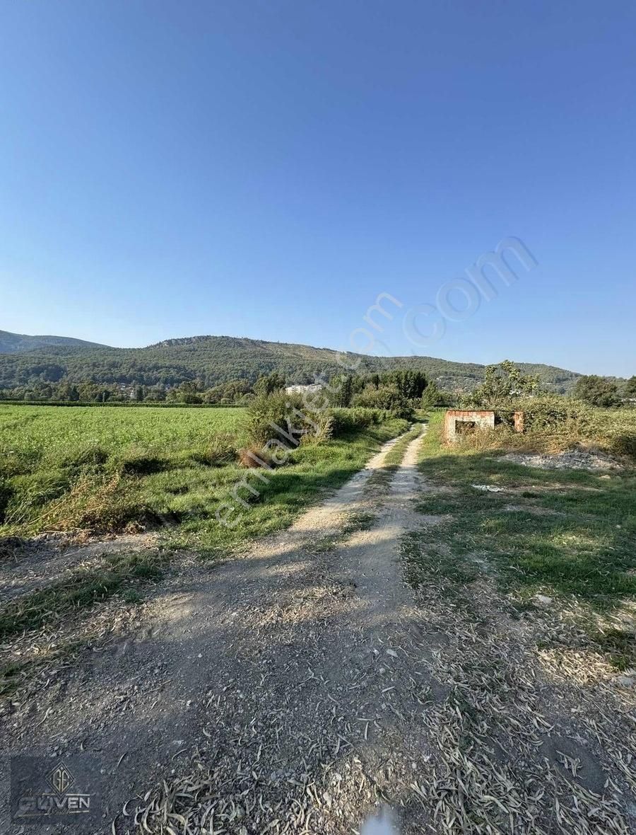 Muğla Ula Gökova Akyaka'ya 5 Dakika Anayol Kenarı Satılık - Görsel 11