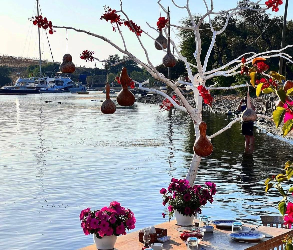 Gümüşlük Yalıkavak Sosyal Tesisli Manzaralı Teraslı Daire - Görsel 4