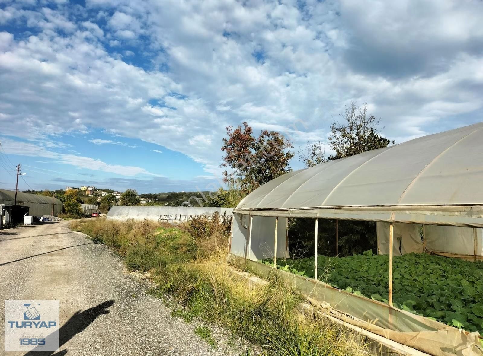 Yalova Kadıköy'de Fırsat Arsa - Görsel 6