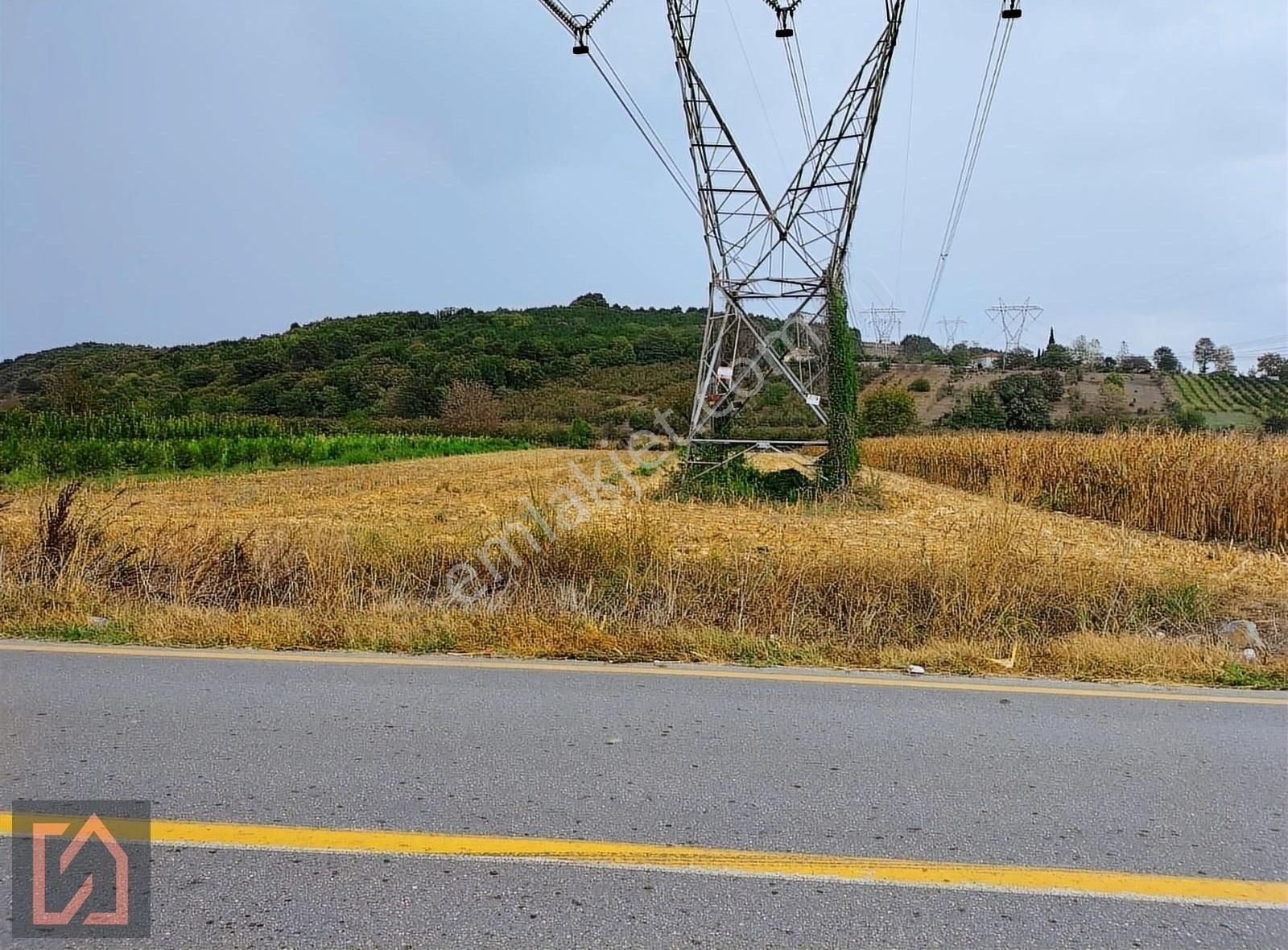 Yılmaz Mega'dan Yağbasanda Anayola Cepheli 2746 M2 Tarla