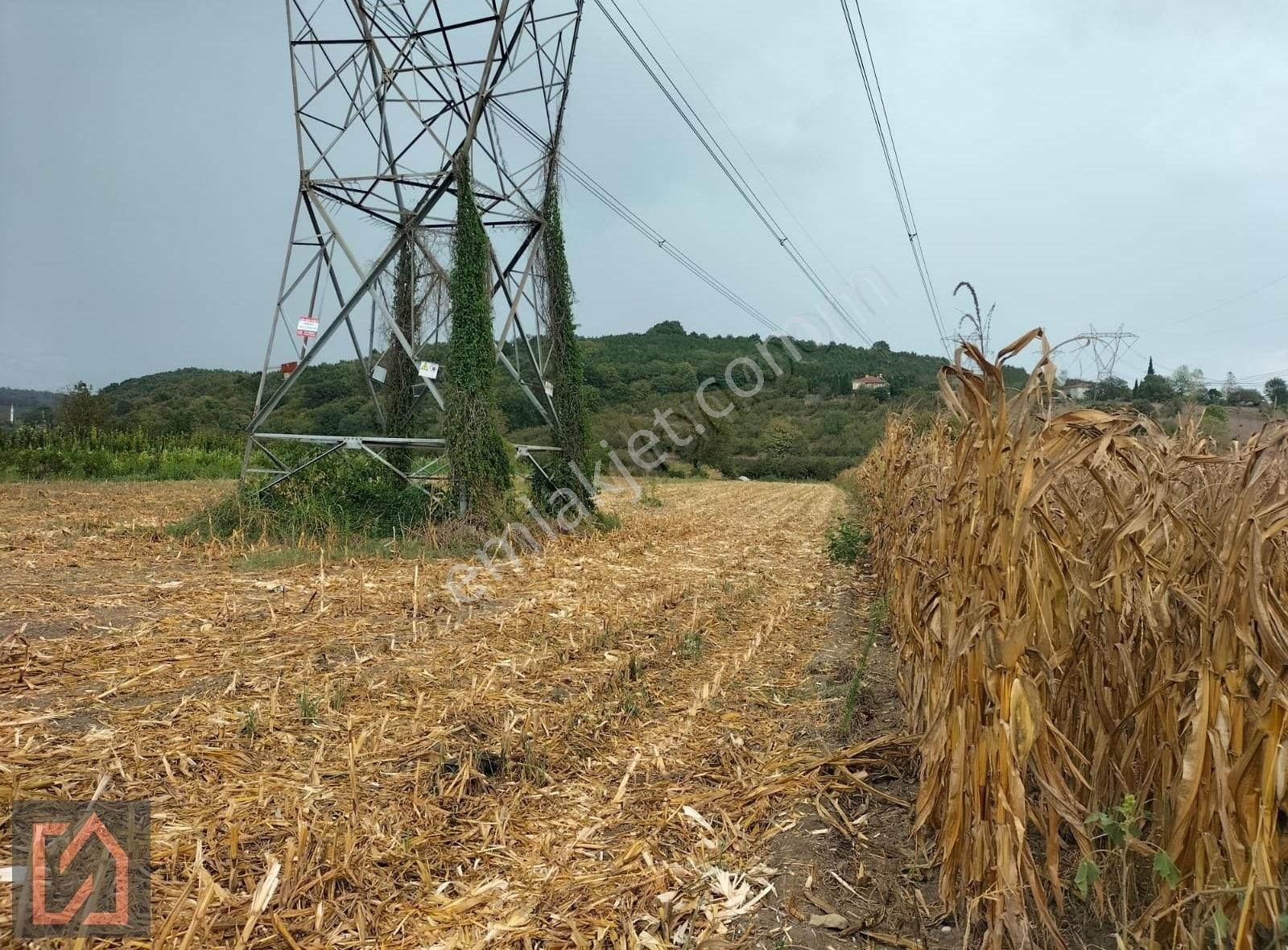 Yılmaz Mega'dan Yağbasanda Anayola Cepheli 2746 M2 Tarla - Görsel 4