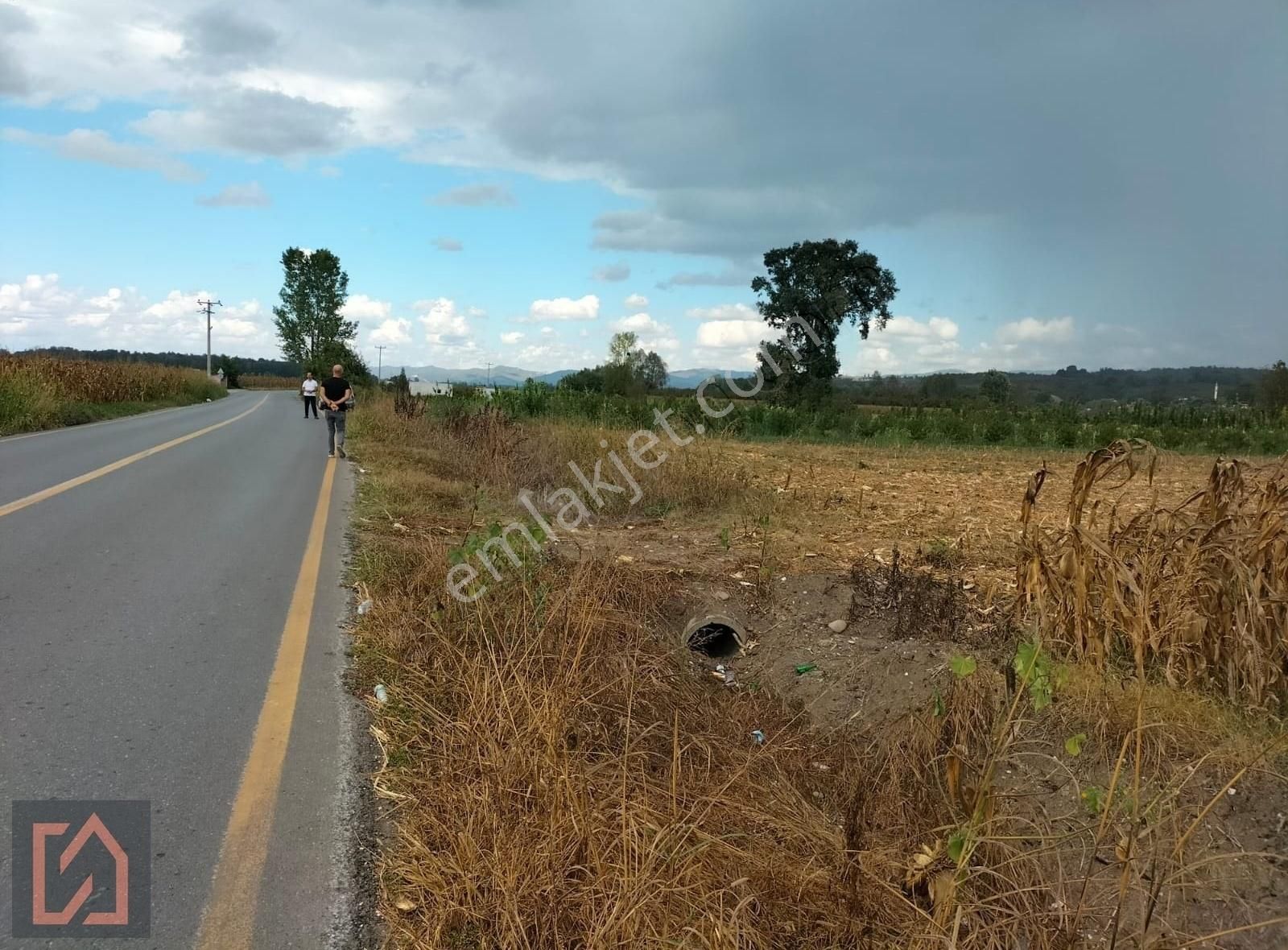 Yılmaz Mega'dan Yağbasanda Anayola Cepheli 2746 M2 Tarla - Görsel 6