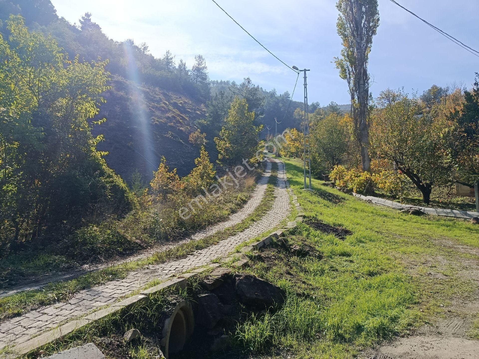 Satılık Kelepir Ev Yapılabilir Fırsat Tarla - Görsel 12