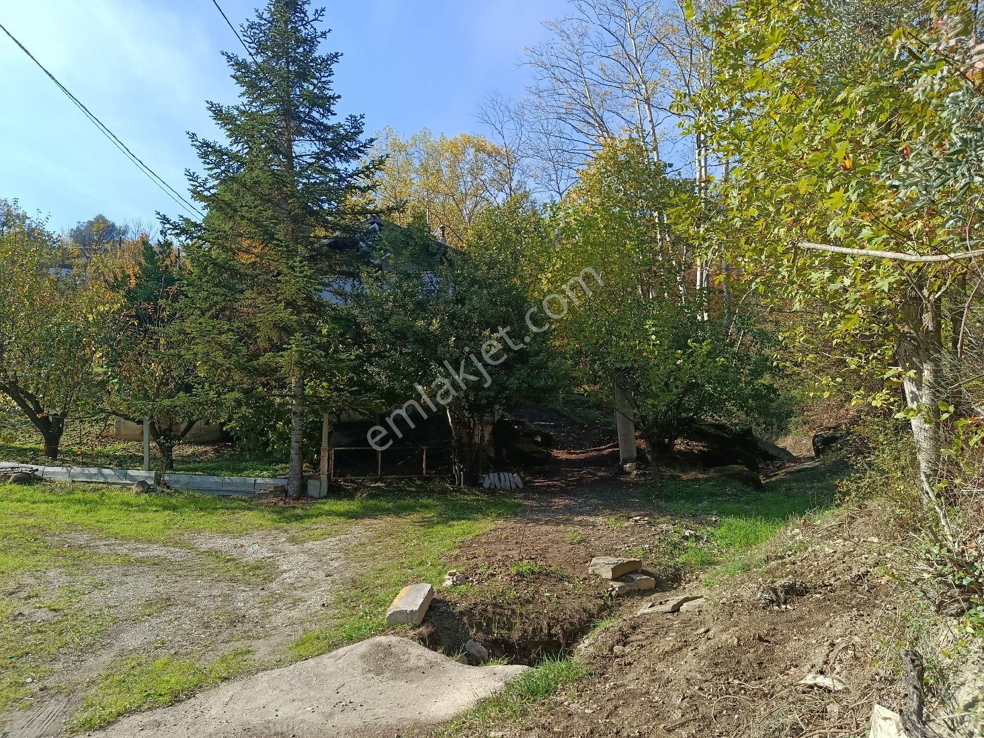 Satılık Kelepir Ev Yapılabilir Fırsat Tarla - Görsel 13