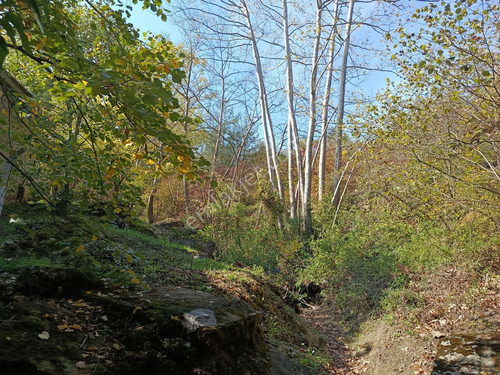 Satılık Kelepir Ev Yapılabilir Fırsat Tarla - Görsel 8