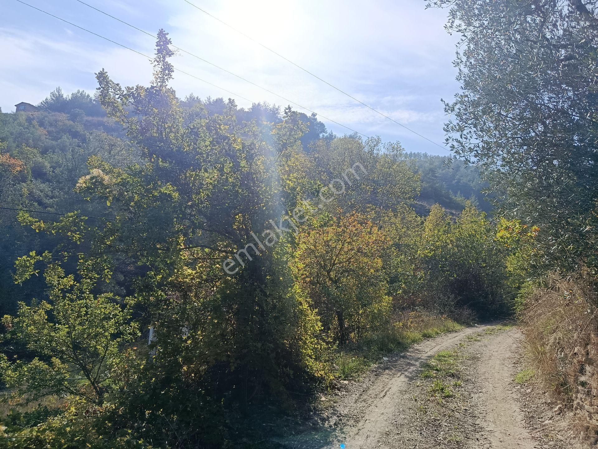 Satılık Kelepir Ev Yapılabilir Fırsat Tarla - Görsel 14