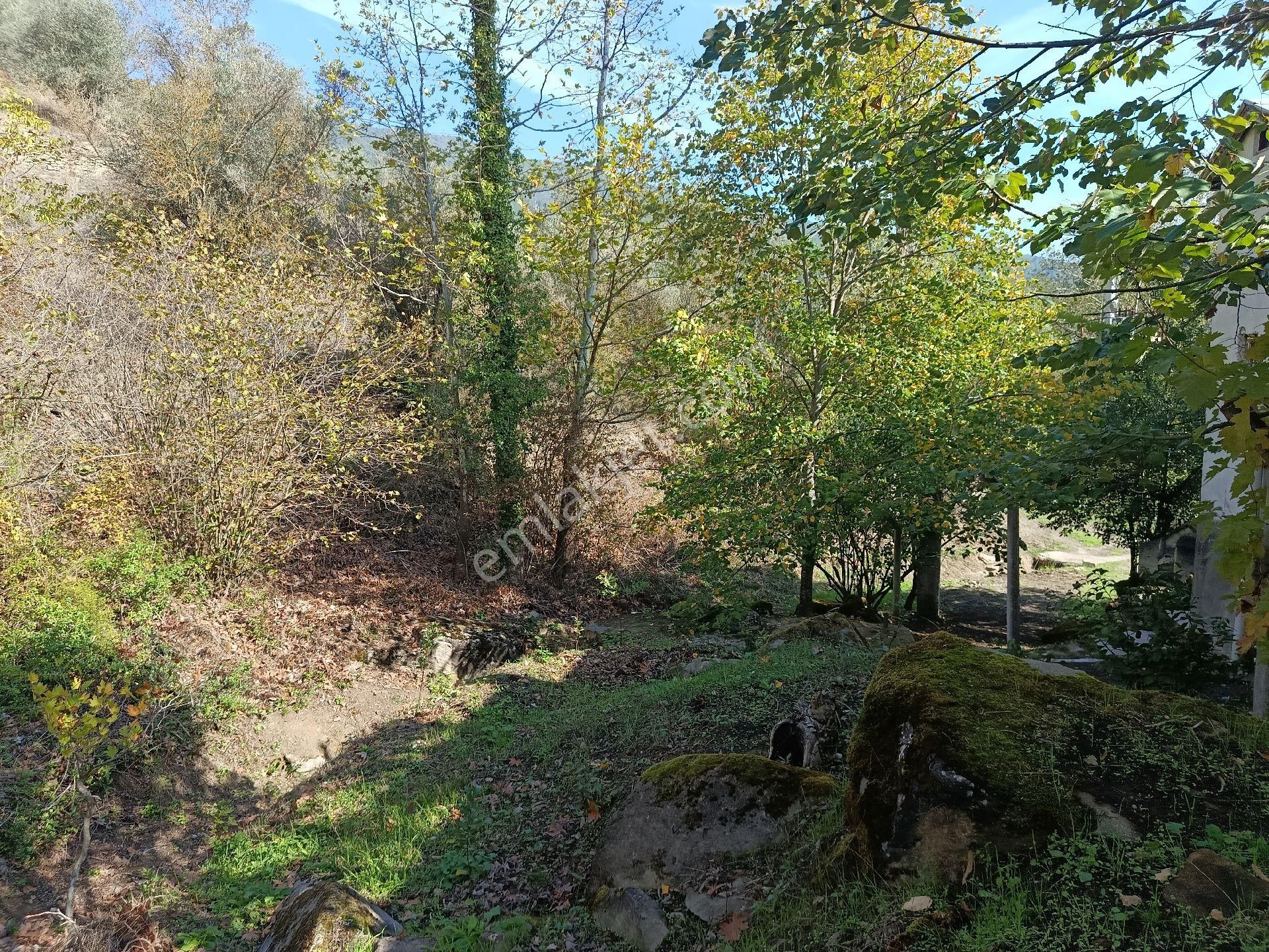 Satılık Kelepir Ev Yapılabilir Fırsat Tarla - Görsel 5