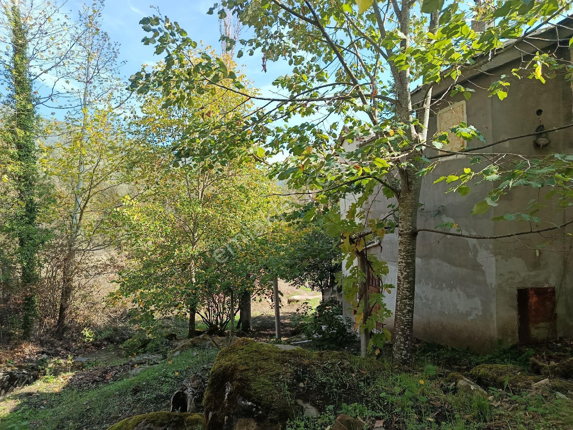 Satılık Kelepir Ev Yapılabilir Fırsat Tarla - Görsel 4