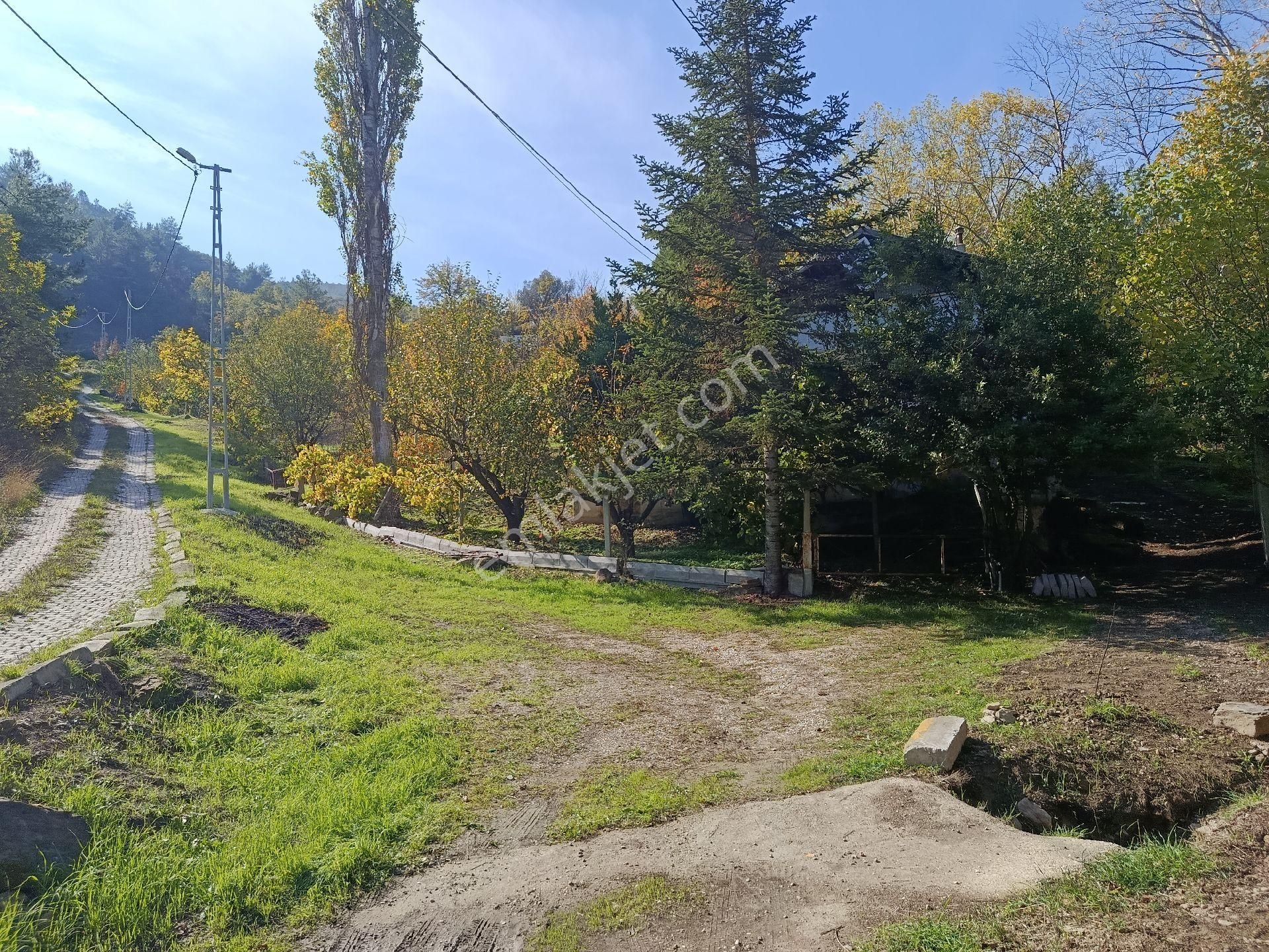 Satılık Kelepir Ev Yapılabilir Fırsat Tarla - Görsel 10