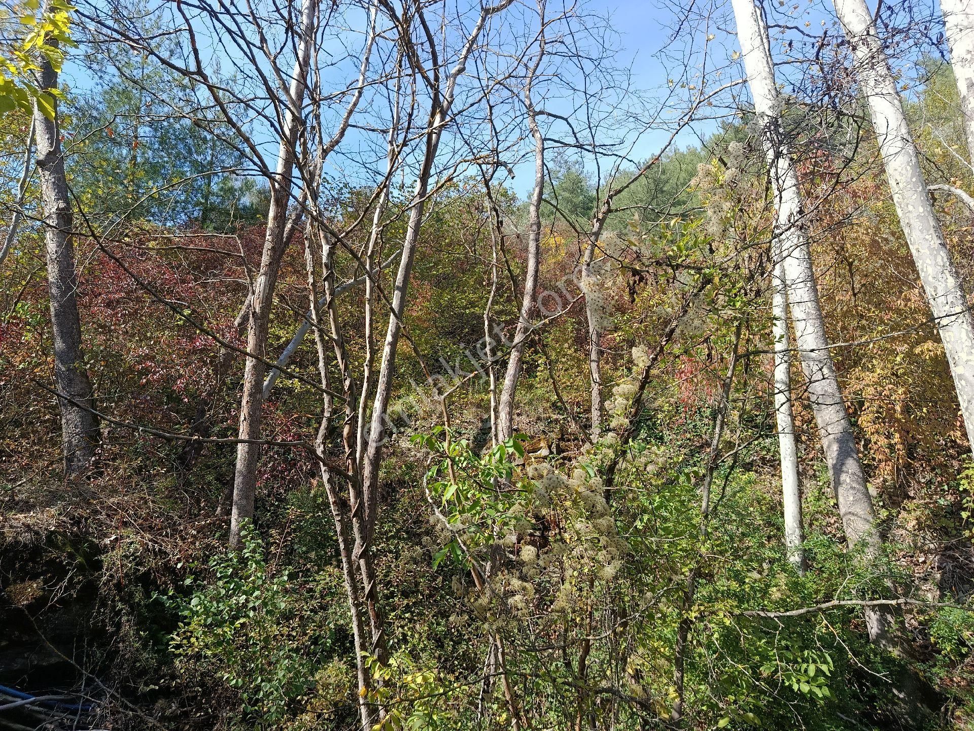 Satılık Kelepir Ev Yapılabilir Fırsat Tarla - Görsel 6