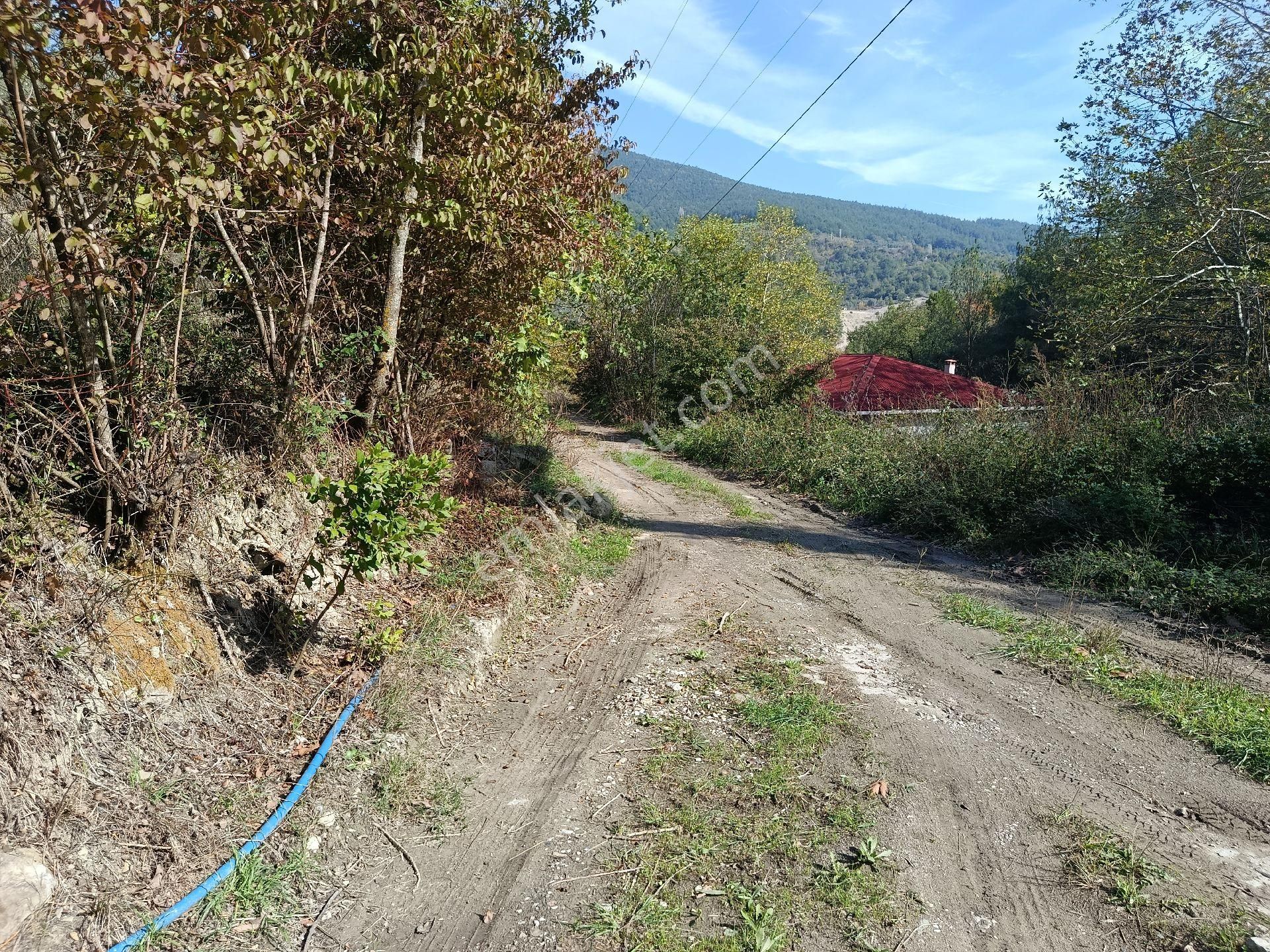 Satılık Kelepir Ev Yapılabilir Fırsat Tarla - Görsel 11