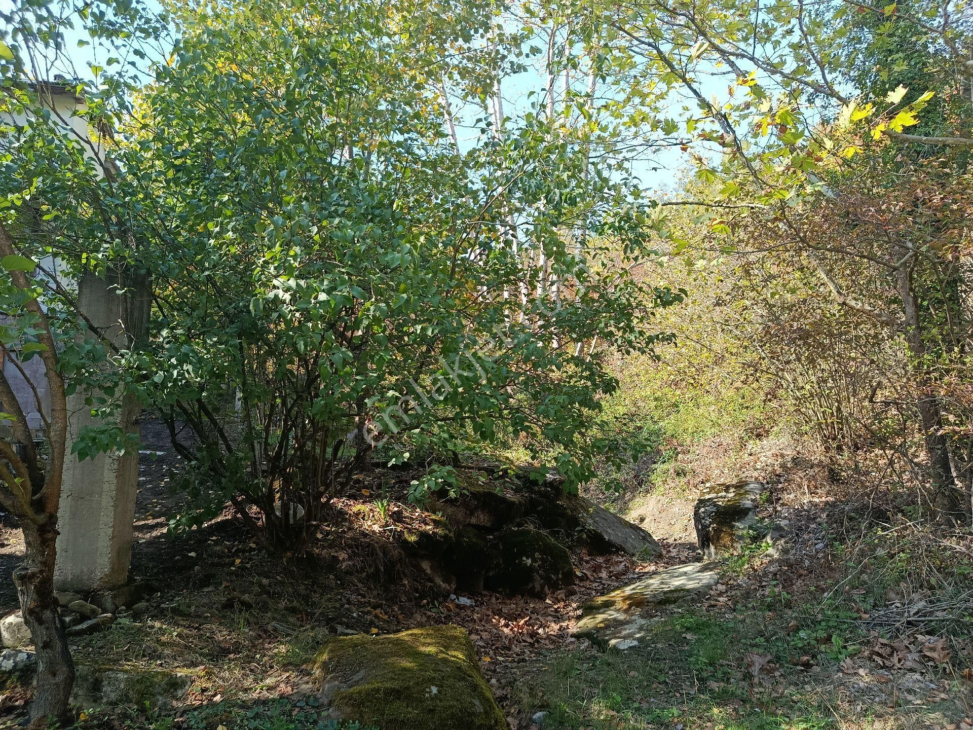 Satılık Kelepir Ev Yapılabilir Fırsat Tarla - Görsel 9