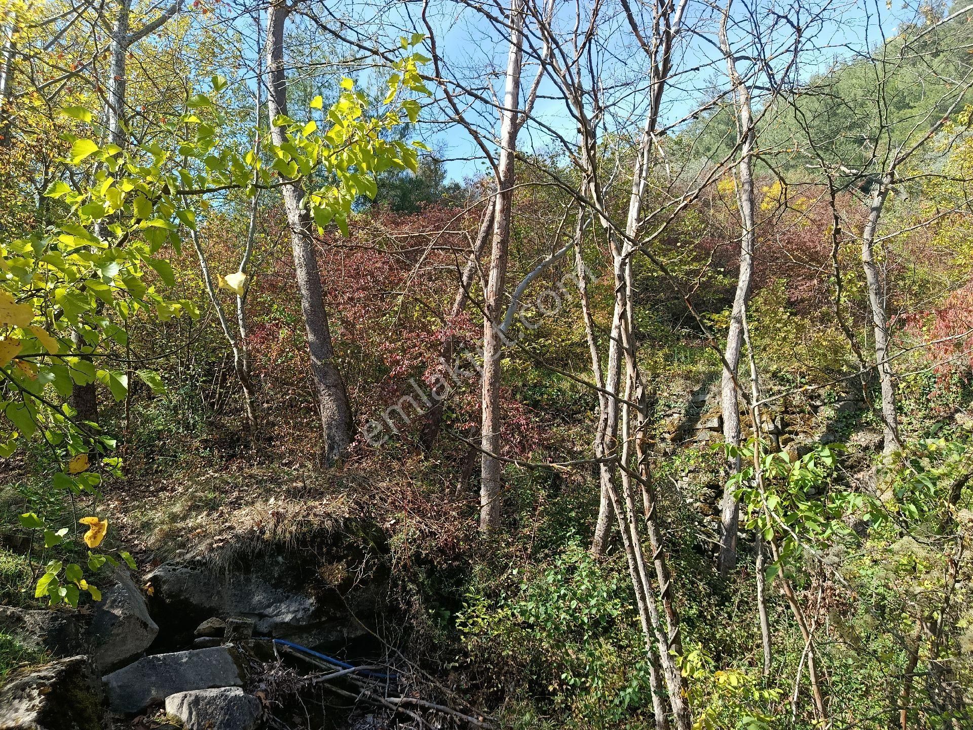 Satılık Kelepir Ev Yapılabilir Fırsat Tarla - Görsel 2