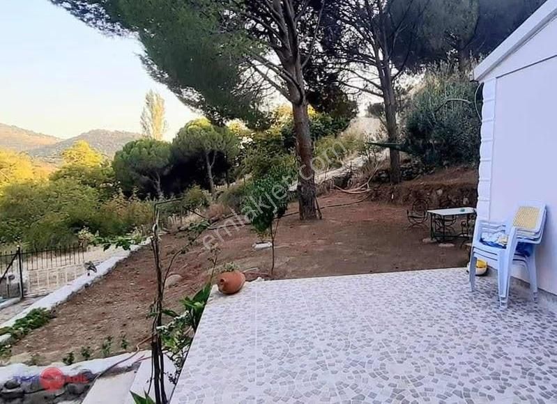 Dikili Kıroba Köyünde Satılık Zeytinlik Prefabrik Evli Mülk - Görsel 15