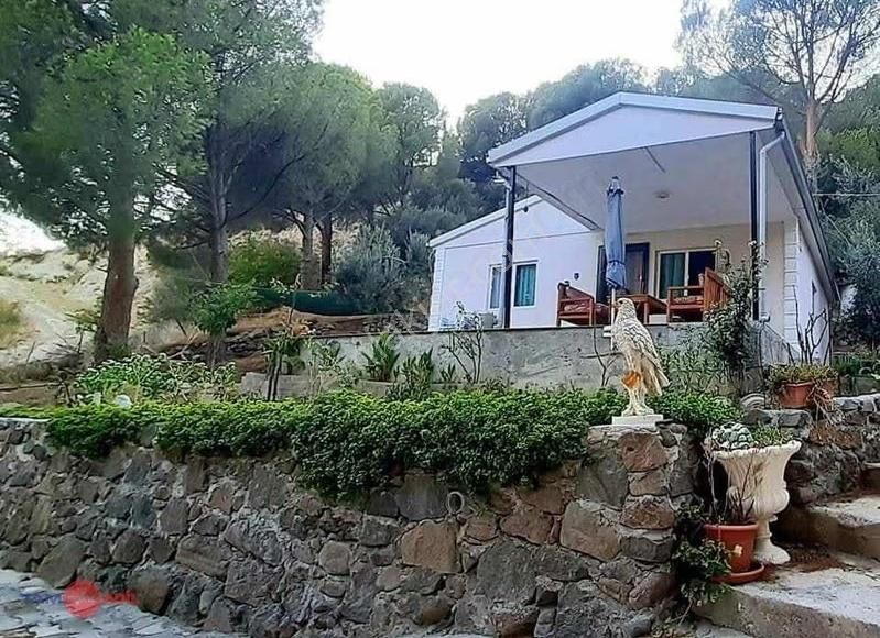 Dikili Kıroba Köyünde Satılık Zeytinlik Prefabrik Evli Mülk - Görsel 21
