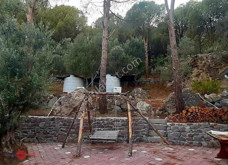Dikili Kıroba Köyünde Satılık Zeytinlik Prefabrik Evli Mülk - Görsel 8